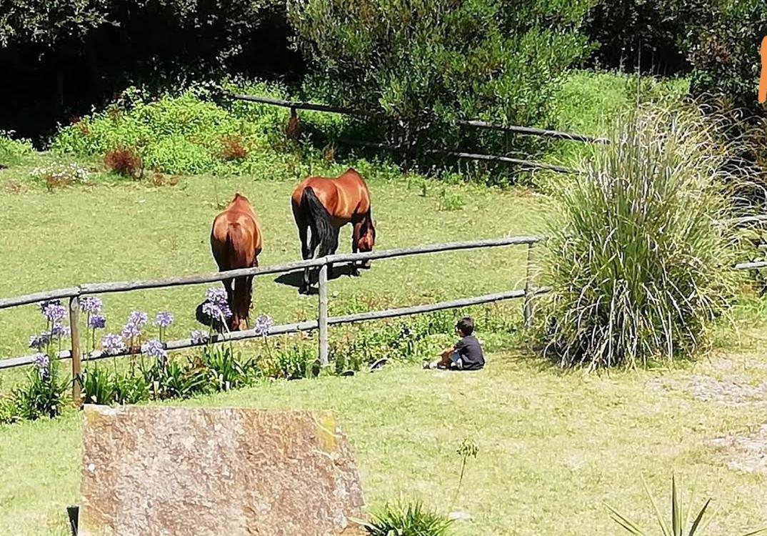 プライア・デ・ミラ T1 Na Casa Da Quinta S Joseヴィラ エクステリア 写真